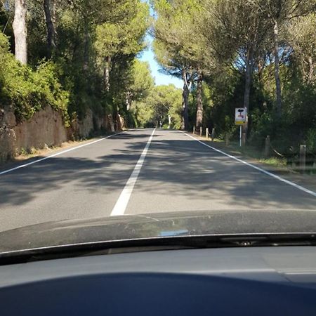Los Vientos Son Parc Εξωτερικό φωτογραφία